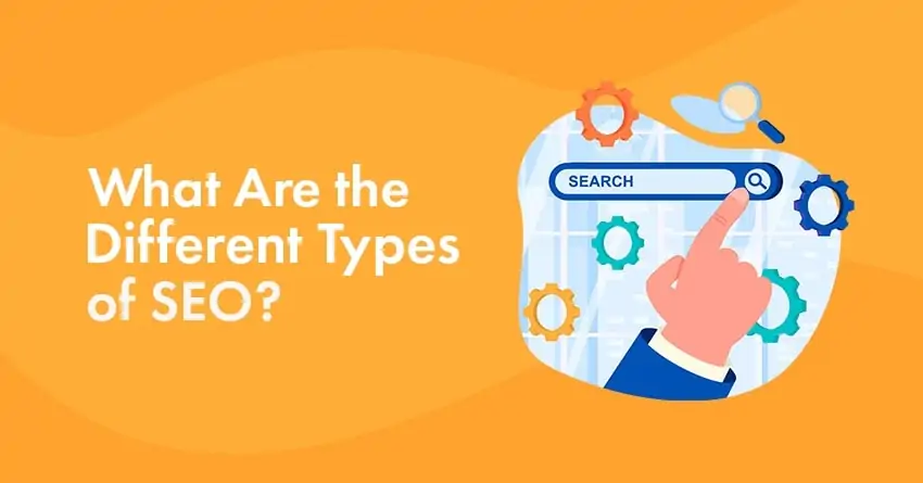 11 Types of SEO: What They Are & How to Use Them